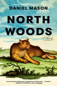 Image of North Woods