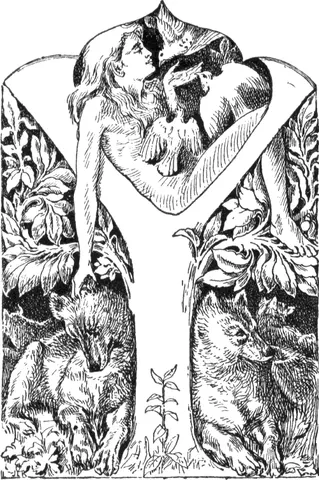 Image of Mowgli