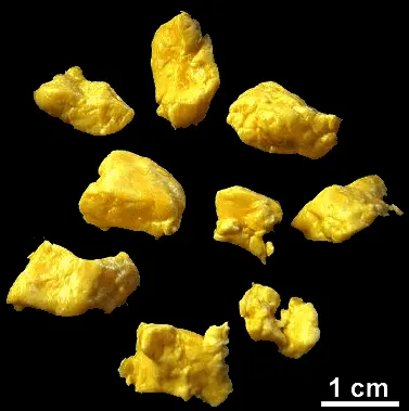 Image of Fried Cheese Curds