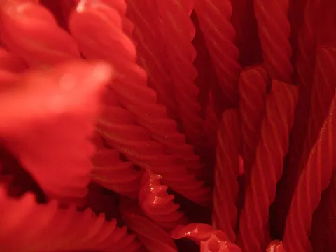Image of Red Vines