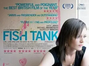 Image of Fish Tank