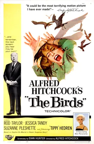 Image of The Birds