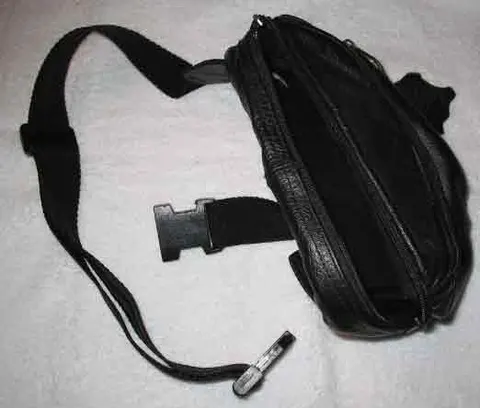 Image of Fanny Pack