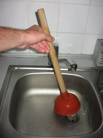 Image of Plunger