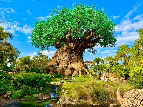 Image of Disney's Animal Kingdom