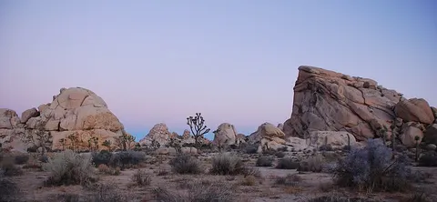 Image of Joshua Tree National Park