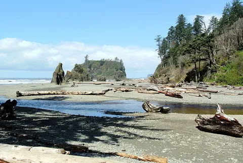 Image of Olympic National Park